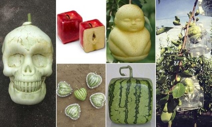 În China, a început să crească legume și fructe de designer