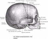 Influența asupra oaselor craniului