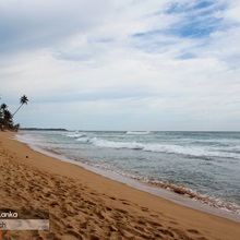 Hikkaduwa (hikkaduwa), plaje din Sri Lanka, broaște țestoase