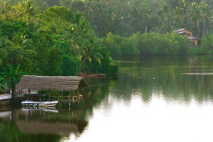 Hikkaduwa (hikkaduwa), plaje din Sri Lanka, broaște țestoase