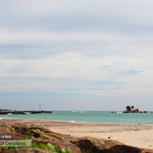 Hikkaduwa (hikkaduwa), plaje din Sri Lanka, broaște țestoase