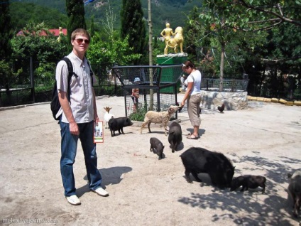 Yalta zoo fairy tale (Yalta - atracții, locuri de vizitat, locuri interesante)