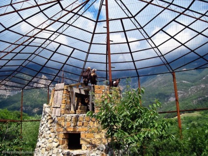 Yalta zoo fairy tale (Yalta - atracții, locuri de vizitat, locuri interesante)