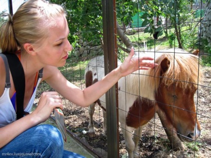 Yalta zoo fairy tale (Yalta - atracții, locuri de vizitat, locuri interesante)