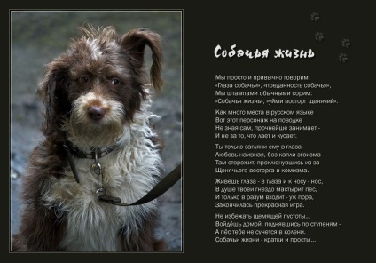 Viața unui câine (Vyacheslav Kotsenko)
