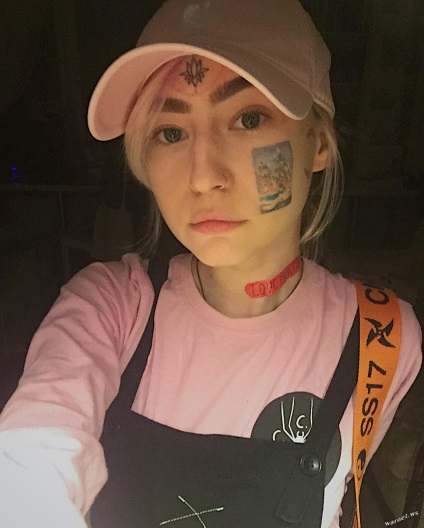 Fata de 19 ani a hotărât să elimine fața cu tatuaje (24 fotografii)