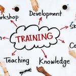 7 Idei despre introducerea regulilor în formare, blogul antrenorului de afaceri Natalia Volosaeva