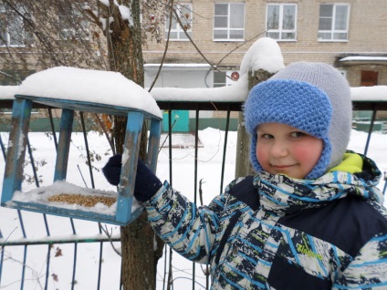 Az akció segít a tollas barátainak! Takarmány madarak télen