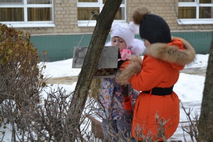 Az akció segít a tollas barátainak! Takarmány madarak télen