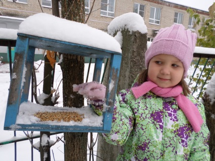 Az akció segít a tollas barátainak! Takarmány madarak télen