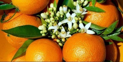 A narancs jó és egészségre káros, egészséges vagyok