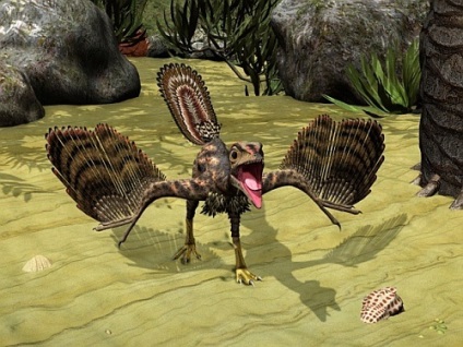 Archeopteryx a fordított evolúció példájaként - scisne