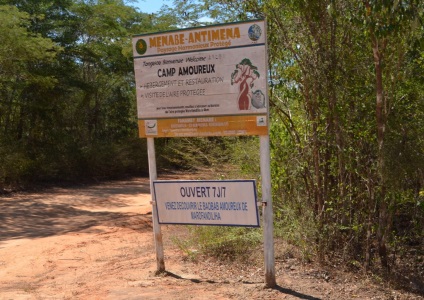 Baobab Madagascar - pădure antică, misterioasă