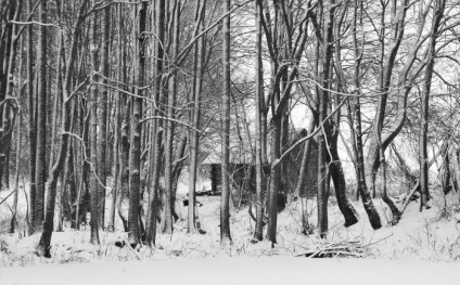 Peisajele din Belarus pe fotografiile lui Basil Vasilkov, un artist care fotografiază tăcerea