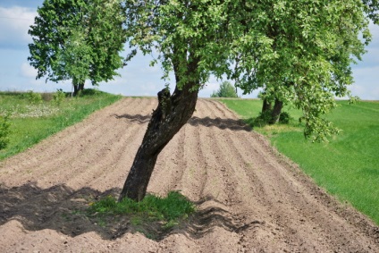 Peisajele din Belarus pe fotografiile lui Basil Vasilkov, un artist care fotografiază tăcerea