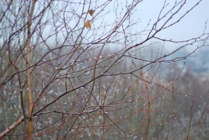 Peisajele din Belarus pe fotografiile lui Basil Vasilkov, un artist care fotografiază tăcerea