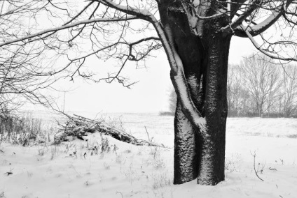 Peisajele din Belarus pe fotografiile lui Basil Vasilkov, un artist care fotografiază tăcerea