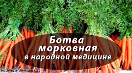 A sárgarépa növénye hasznos tulajdonságokkal és ellenjavallatokkal a népgyógyászatban - barátnője on-line