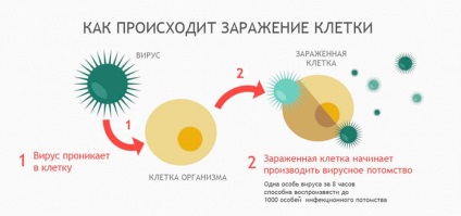 Ce să faceți dacă buza este umflată de herpes