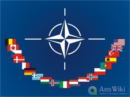 Ce este un Nato