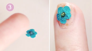 Flori pe unghii (pas cu pas) manichiura de grup, pedichiura
