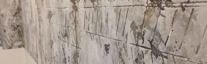 Vopsele decorative și tencuieli din decor de perete din Italia în Perm