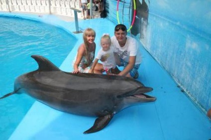 Dolphinarium (Vitiazevo) ütemterv, áttekintés