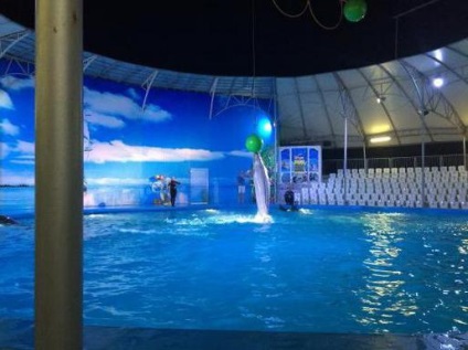 Dolphinarium (Vitiazevo) ütemterv, áttekintés