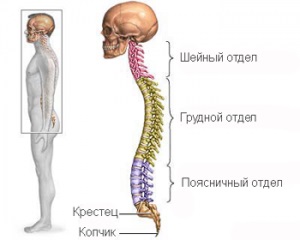 Hernia dorsală a cauzelor discului cervical, simptomele și tratamentul