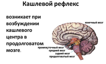 Medicamente disponibile și eficiente pentru tratamentul tusei copilului