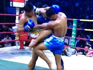 A térdcsillapítás hatékonysága a Muay Thai-ban