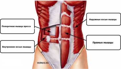 Fitness Press Abdominal