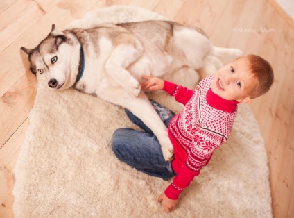 Photosession cu husky - un fotograf în Moscova