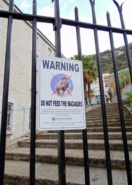 Gibraltár - a szoros és az ország egy nap alatt, mindent az idegenforgalomról és a kikapcsolódásról