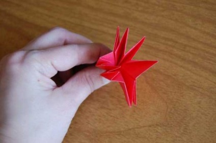 Garoafe - flori origami - figurine de hârtie cu mâinile lor