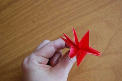 Garoafe - flori origami - figurine de hârtie cu mâinile lor