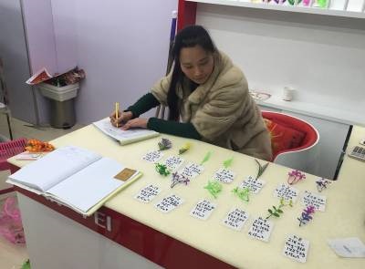 Cum să începeți să achiziționați flori artificiale sau accesorii pentru producția lor în China