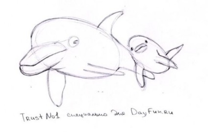 Hogyan kell rajzolni egy delfint a ceruzával lépésről lépésre