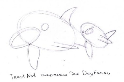 Cum de a desena un delfin în creion pas cu pas