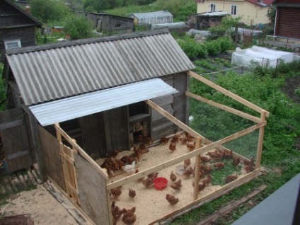 Cum de a construi o coopă de pui cu mâinile tale pentru 50 de pui - un fermier fără hassle