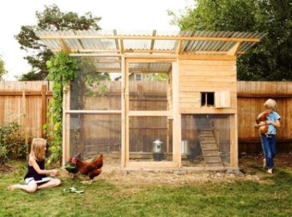 Hogyan építsünk egy csirkehéjat a saját kezével 50 csirke számára - egy gazdálkodó a gond nélkül