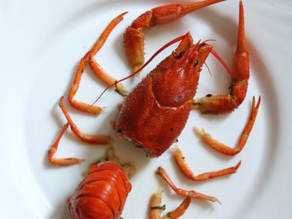 Cum să prindă un crab corect - crabi din Marea Neagră cum să prindă crabi și să gătească ...