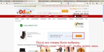 Cum să faceți o comandă în site - Magazine online chinezești (arhivă)