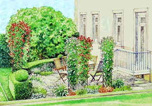 Cum de a crea o terasă frumoasă cu plante de mâinile tale