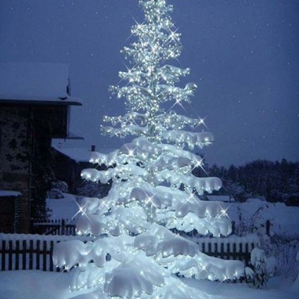 Cum de a decora o cabana pentru anul nou 2016 cu propriile mâini fotografie, idee