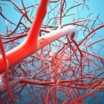 Cum de a consolida pereții vaselor de sânge și capilarelor