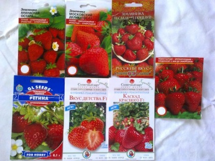 Cum să crească căpșunile din semințe