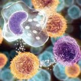 Modalități imunitare celulare pentru ao proteja - medicul dvs. aibolit