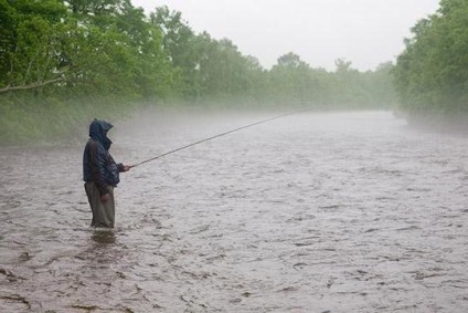 Vajon a halak megfulladnak az esős halászati ​​jellemzőkben, jelek
