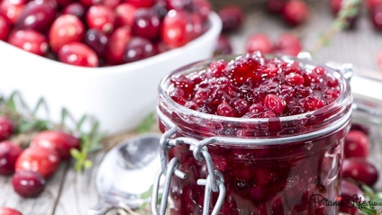 Cranberry cu miere - despre proprietăți benefice și contraindicații
